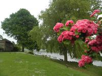 Leeds Castle &ndash; &copy; Constanze Hölig (Eberhardt TRAVEL)