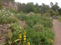 Knightshayes Court &ndash; &copy; Constanze Hölig (Eberhardt TRAVEL)