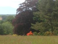 Knightshayes Court &ndash; &copy; Constanze Hölig (Eberhardt TRAVEL)