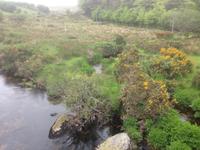Dartmoor &ndash; &copy; Constanze Hölig (Eberhardt TRAVEL)