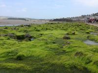 St Michael's Mount &ndash; &copy; Constanze Hölig (Eberhardt TRAVEL)