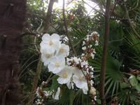 Trebah Garden &ndash; &copy; Constanze Hölig (Eberhardt TRAVEL)