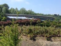 Eden Project &ndash; &copy; Constanze Hölig (Eberhardt TRAVEL)