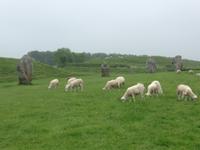 Avebury &ndash; &copy; Constanze Hölig (Eberhardt TRAVEL)