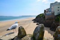 151 Tenby &ndash; &copy; Konrad Füssel (Eberhardt TRAVEL)