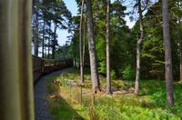 194 Welsh Highland Railway &ndash; &copy; Konrad Füssel (Eberhardt TRAVEL)