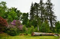 353 Skye, Armadale Castle & Garden &ndash; &copy; Konrad Füssel (Eberhardt TRAVEL)