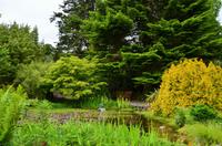 362 Skye, Armadale Castle & Garden &ndash; &copy; Konrad Füssel (Eberhardt TRAVEL)