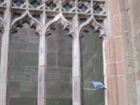 Coventry &ndash; &copy; Constanze Hölig (Eberhardt TRAVEL)