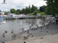 Lake Windermere &ndash; &copy; Constanze Hölig (Eberhardt TRAVEL)