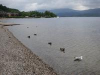 Loch Lomond &ndash; &copy; Constanze Hölig (Eberhardt TRAVEL)
