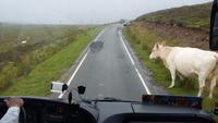 Typische Straßen im Norden der Isle of Skye  &ndash; &copy; Florian Härtl (Eberhardt TRAVEL)
