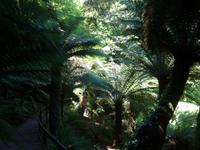 Trewidden Garden &ndash; &copy; Philipp Schmitz (Eberhardt TRAVEL)