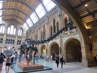 London &ndash; &copy; Constanze Hölig (Eberhardt TRAVEL)