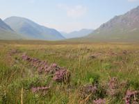 Glen Coe &ndash; &copy; Constanze Hölig (Eberhardt TRAVEL)