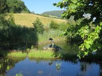 Nessie &ndash; &copy; Constanze Hölig (Eberhardt TRAVEL)