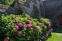 Arundel Castle &ndash; &copy; Martin Büchner (Eberhardt TRAVEL)