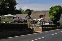 Isle of Wight - Godshill &ndash; &copy; Martin Büchner (Eberhardt TRAVEL)