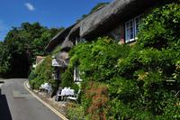Isle of Wight - Godshill &ndash; &copy; Martin Büchner (Eberhardt TRAVEL)