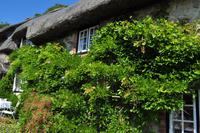 Isle of Wight - Godshill &ndash; &copy; Martin Büchner (Eberhardt TRAVEL)