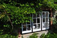 Isle of Wight - Godshill &ndash; &copy; Martin Büchner (Eberhardt TRAVEL)