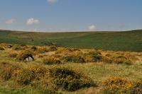 Dartmoor &ndash; &copy; Martin Büchner (Eberhardt TRAVEL)