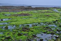 St. Michael's Mount &ndash; &copy; Martin Büchner (Eberhardt TRAVEL)
