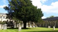 Wells Cathedral &ndash; &copy; Martin Büchner (Eberhardt TRAVEL)