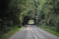 Green Tunnel &ndash; &copy; Martin Büchner (Eberhardt TRAVEL)
