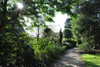 Rame Halbinsel - Mount Edgcumbe &ndash; &copy; Martin Büchner (Eberhardt TRAVEL)