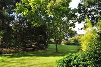 Rame Halbinsel - Mount Edgcumbe &ndash; &copy; Martin Büchner (Eberhardt TRAVEL)