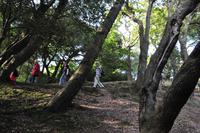 Rame Halbinsel - Mount Edgcumbe &ndash; &copy; Martin Büchner (Eberhardt TRAVEL)