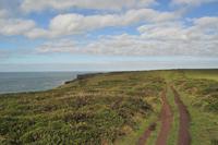 Wnderung von den Bedruthan Steps nach Porthcothan &ndash; &copy; Martin Büchner (Eberhardt TRAVEL)