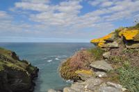 Tintagel &ndash; &copy; Martin Büchner (Eberhardt TRAVEL)
