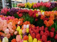 Flughafen Amsterdam &ndash; &copy; Simone Kaufmann im Auftrag von Eberhardt TRAVEL (Eberhardt TRAVEL)
