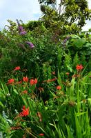 Arundel Garden &ndash; &copy; Konrad Füssel (Eberhardt TRAVEL)