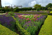 Arundel Garden