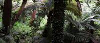 Terwidden Garden