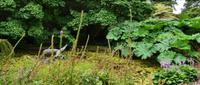 Terwidden Garden