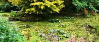 Terwidden Garden &ndash; &copy; Konrad Füssel (Eberhardt TRAVEL)