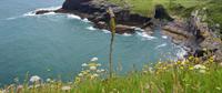 Tintagel &ndash; &copy; Konrad Füssel (Eberhardt TRAVEL)