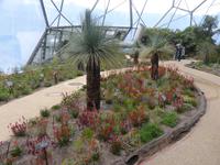 Eden Project - Australien  &ndash; &copy; Claudia Bernhardt (Eberhardt TRAVEL)