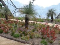 Eden Project - Australien &ndash; &copy; Claudia Bernhardt (Eberhardt TRAVEL)