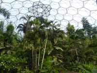 Eden Project - Regenwaldbiom &ndash; &copy; Claudia Bernhardt (Eberhardt TRAVEL)