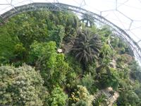 Eden Project  &ndash; &copy; Claudia Bernhardt (Eberhardt TRAVEL)