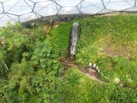 Eden Project  &ndash; &copy; Claudia Bernhardt (Eberhardt TRAVEL)