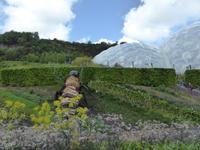 Eden Project  &ndash; &copy; Claudia Bernhardt (Eberhardt TRAVEL)