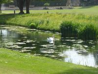 Hever Castle &ndash; &copy; Claudia Bernhardt (Eberhardt TRAVEL)