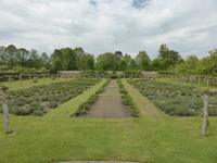 Penshurst Place & Garden  &ndash; &copy; Claudia Bernhardt (Eberhardt TRAVEL)