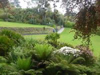 Trebah Garden  &ndash; &copy; Claudia Bernhardt (Eberhardt TRAVEL)